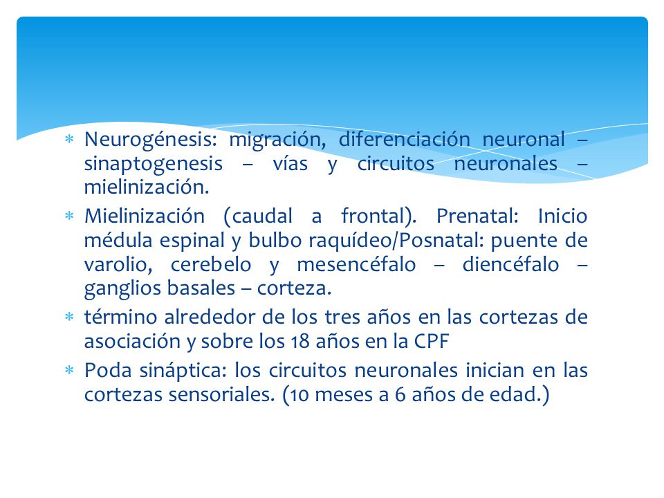 Neurogénesis: migración, diferenciación neuronal – sinaptogenesis – vías y circuitos neuronales – mielinización.