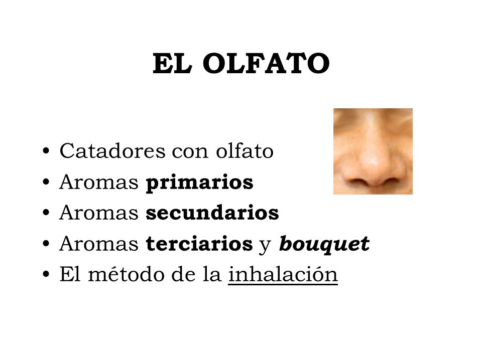 EL OLFATO Catadores con olfato Aromas primarios Aromas secundarios