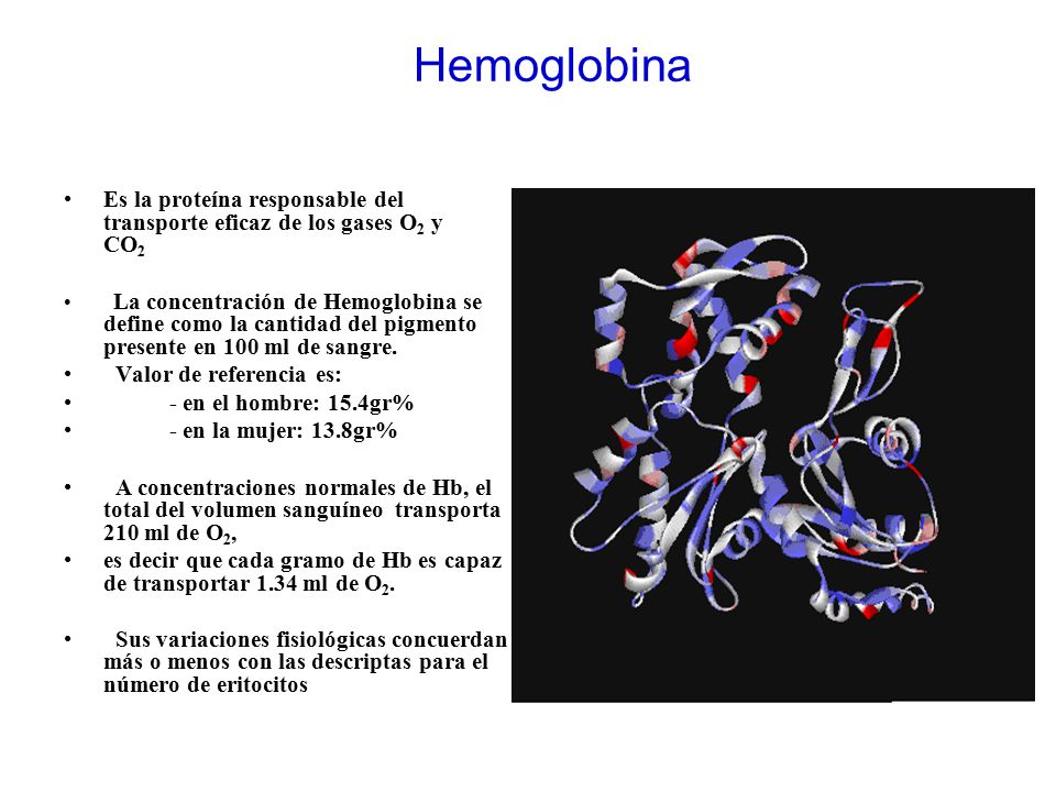 Hemoglobina Es la proteína responsable del transporte eficaz de los gases O2 y CO2.