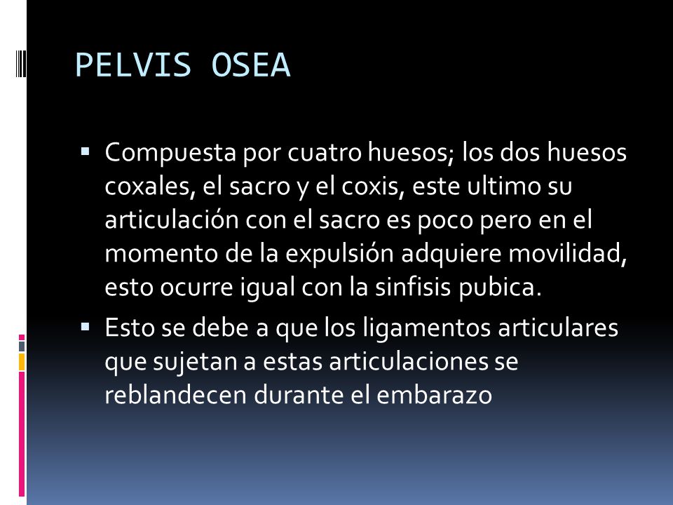 PELVIS OSEA