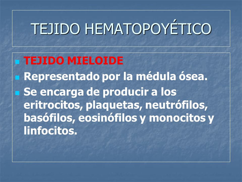 TEJIDO HEMATOPOYÉTICO