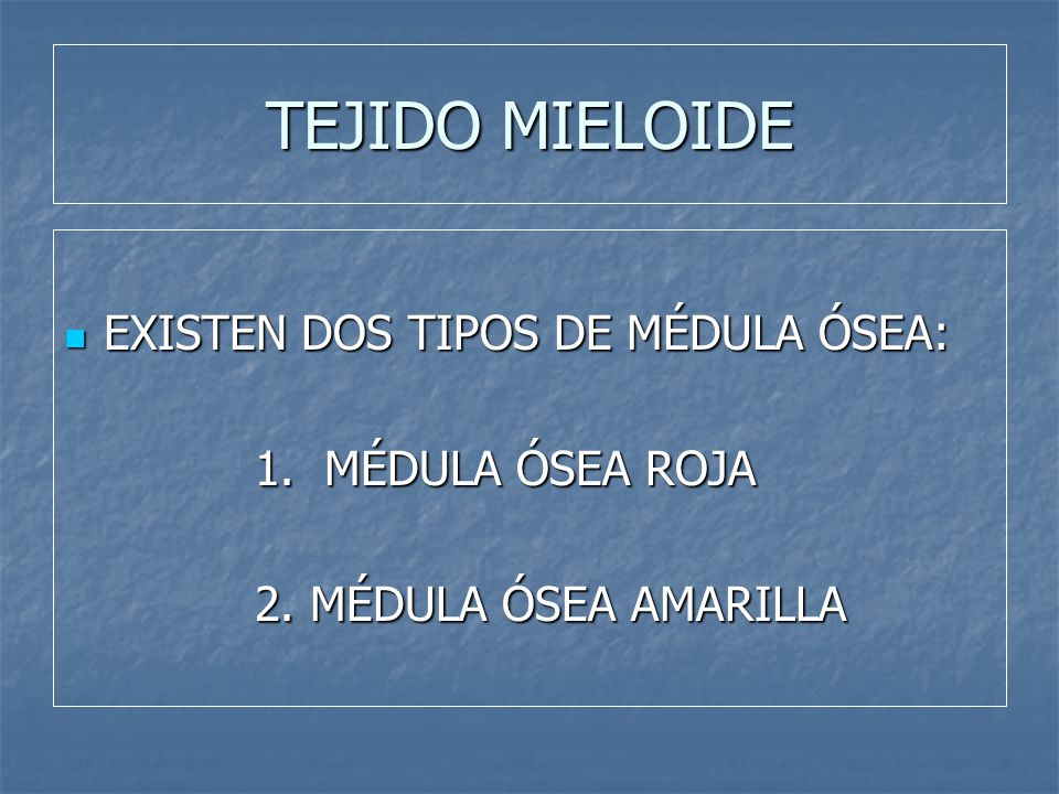 TEJIDO MIELOIDE EXISTEN DOS TIPOS DE MÉDULA ÓSEA: 1. MÉDULA ÓSEA ROJA