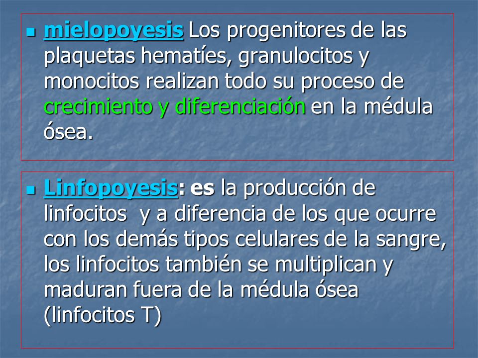 mielopoyesis Los progenitores de las plaquetas hematíes, granulocitos y monocitos realizan todo su proceso de crecimiento y diferenciación en la médula ósea.
