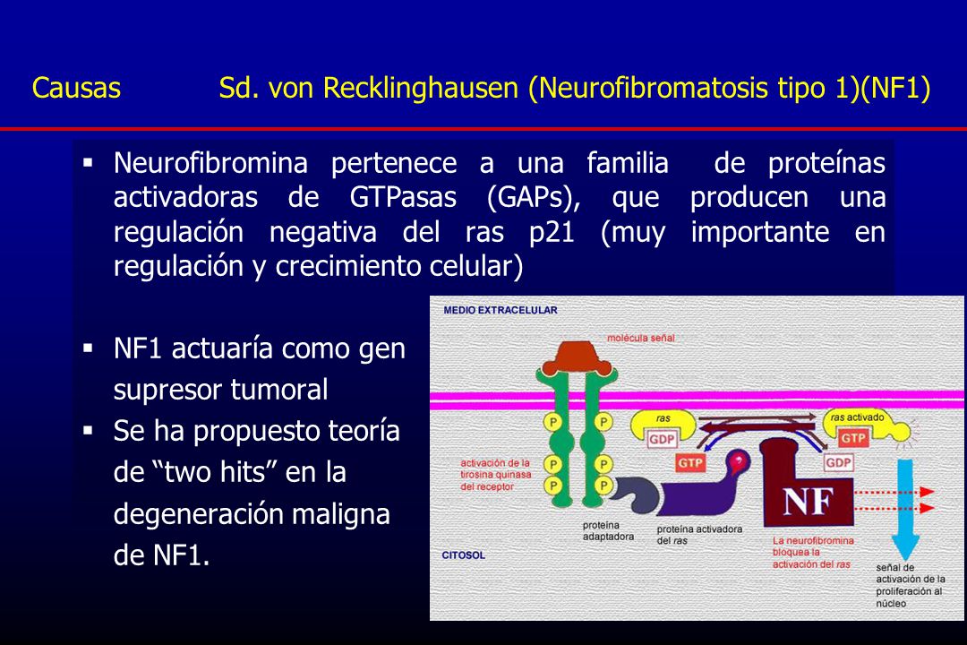 Causas Sd. von Recklinghausen (Neurofibromatosis tipo 1)(NF1)