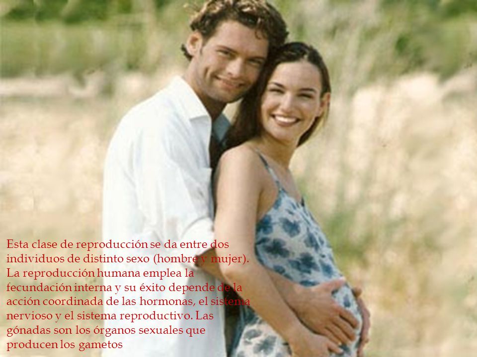 Esta clase de reproducción se da entre dos individuos de distinto sexo (hombre y mujer).
