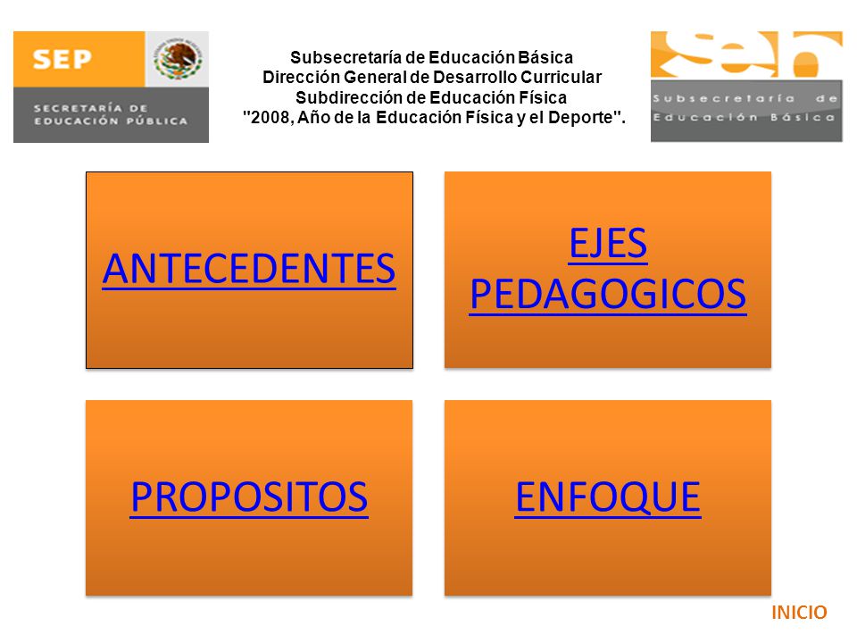 2008, Año de la Educación Física y el Deporte .