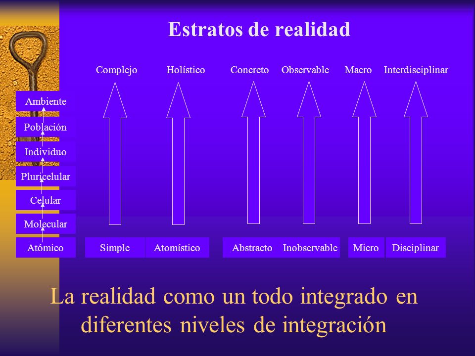 Estratos de realidad Complejo. Holístico. Concreto. Observable. Macro. Interdisciplinar. Ambiente.