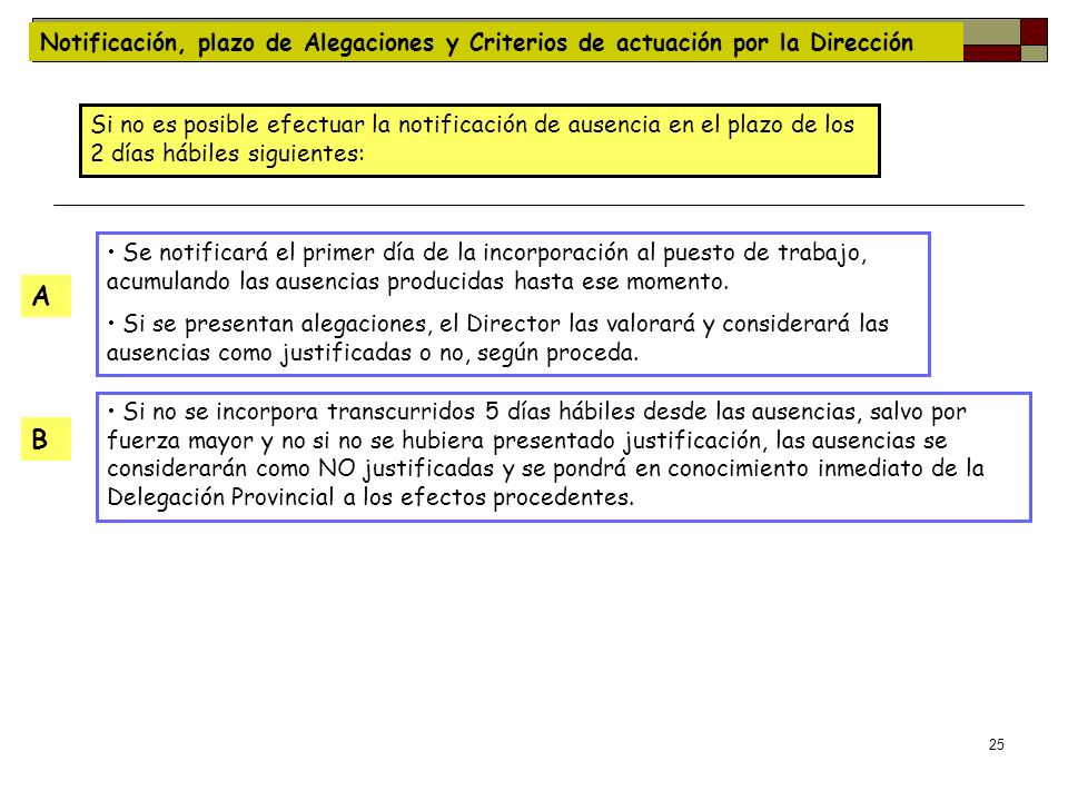 Notificación, plazo de Alegaciones y Criterios de actuación por la Dirección
