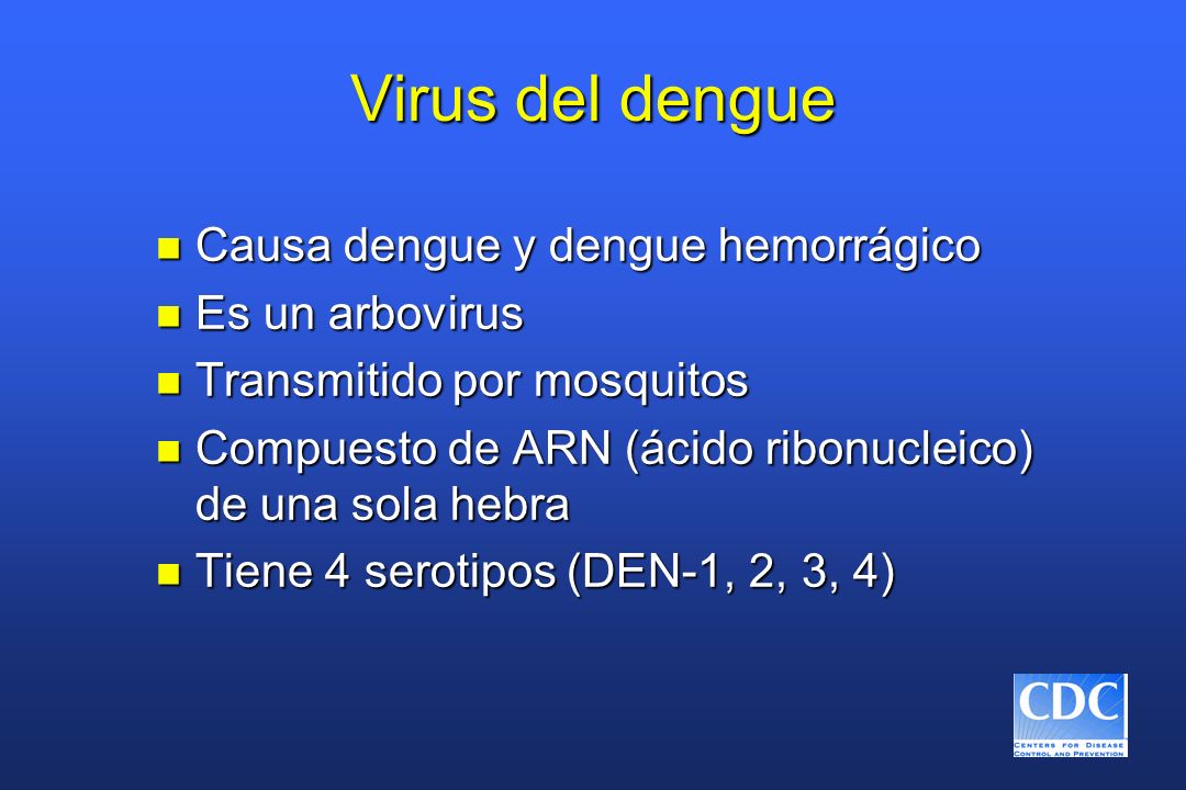 Virus del dengue Causa dengue y dengue hemorrágico Es un arbovirus