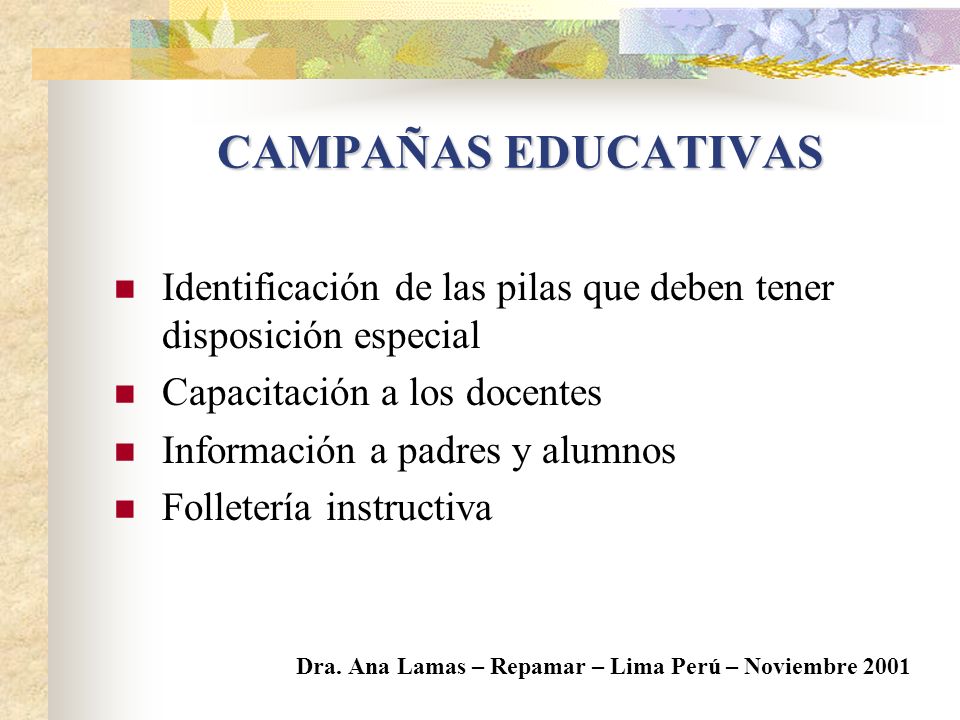 CAMPAÑAS EDUCATIVAS Identificación de las pilas que deben tener disposición especial. Capacitación a los docentes.
