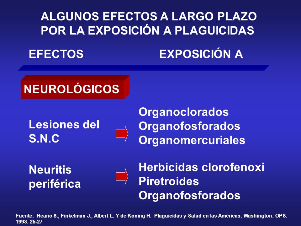 ALGUNOS EFECTOS A LARGO PLAZO POR LA EXPOSICIÓN A PLAGUICIDAS