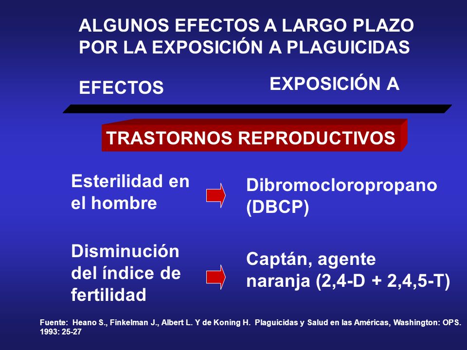 ALGUNOS EFECTOS A LARGO PLAZO POR LA EXPOSICIÓN A PLAGUICIDAS