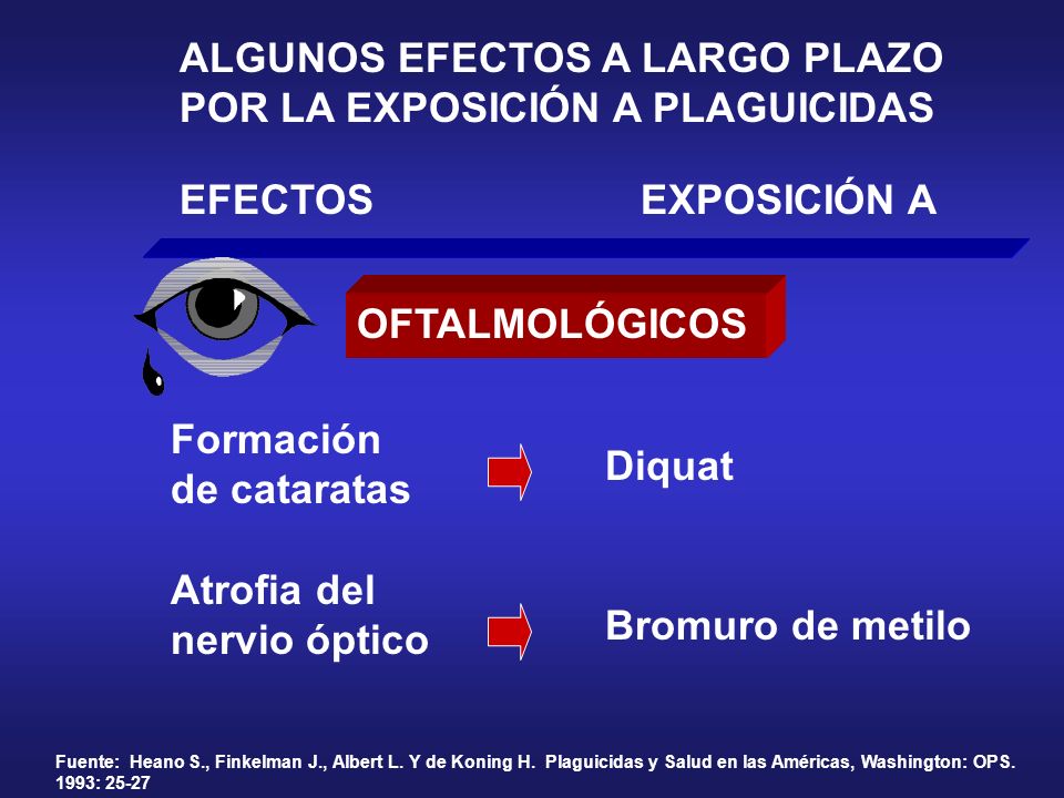 ALGUNOS EFECTOS A LARGO PLAZO POR LA EXPOSICIÓN A PLAGUICIDAS