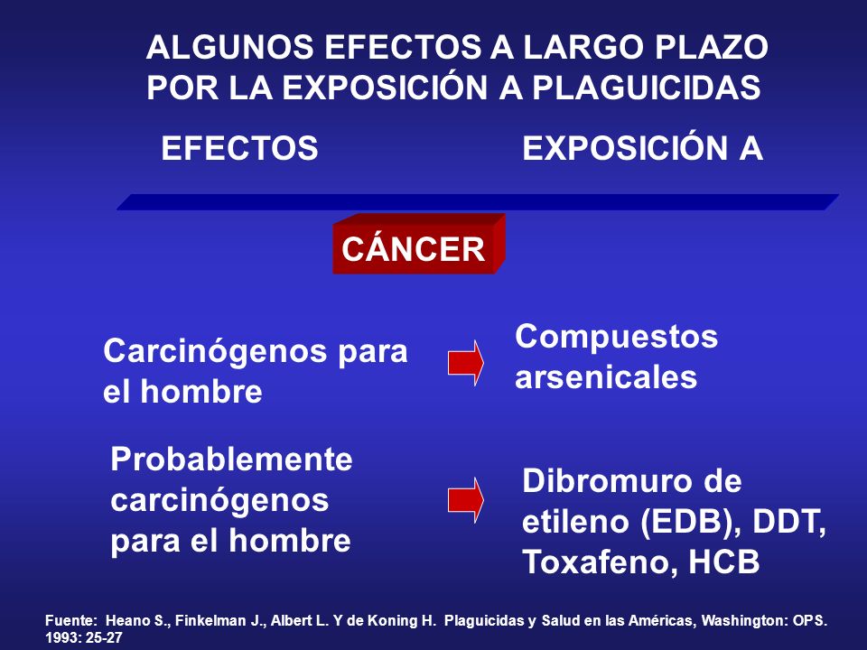 ALGUNOS EFECTOS A LARGO PLAZO POR LA EXPOSICIÓN A PLAGUICIDAS