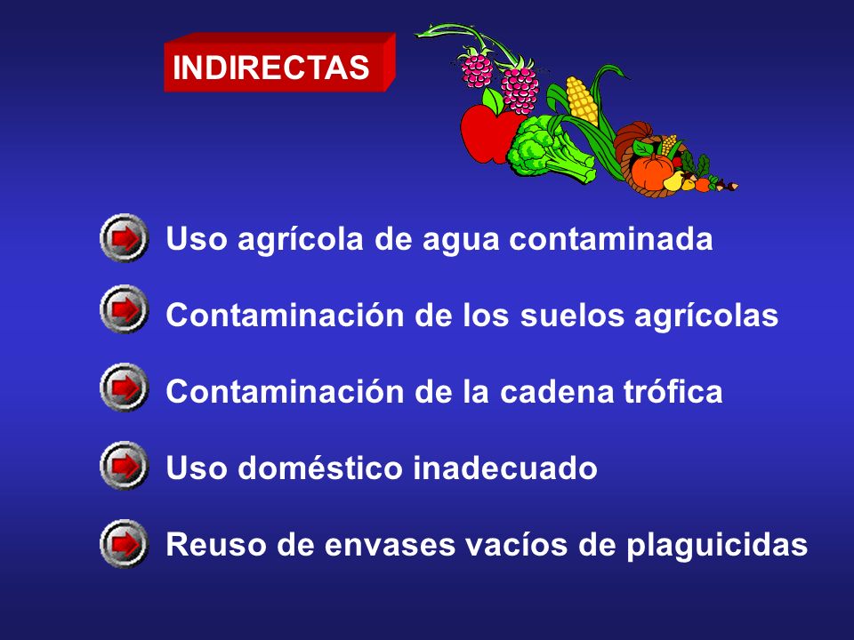 INDIRECTAS Uso agrícola de agua contaminada. Contaminación de los suelos agrícolas. Contaminación de la cadena trófica.