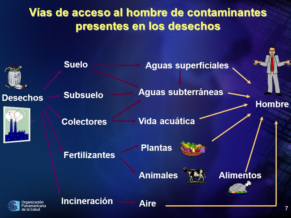 Vías de acceso al hombre de contaminantes presentes en los desechos