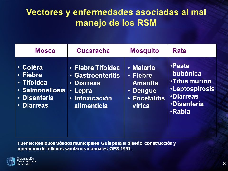 Vectores y enfermedades asociadas al mal manejo de los RSM