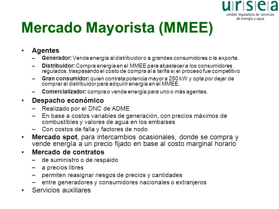 Mercado Mayorista (MMEE)