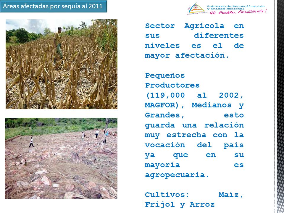 Sector Agrícola en sus diferentes niveles es el de mayor afectación.