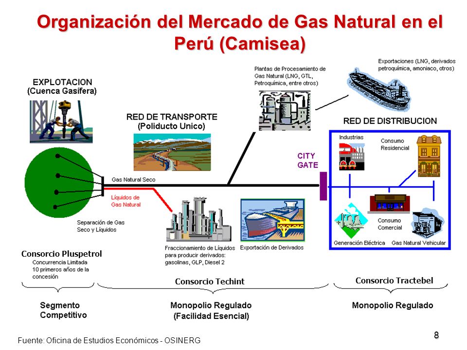 Organización del Mercado de Gas Natural en el Perú (Camisea)