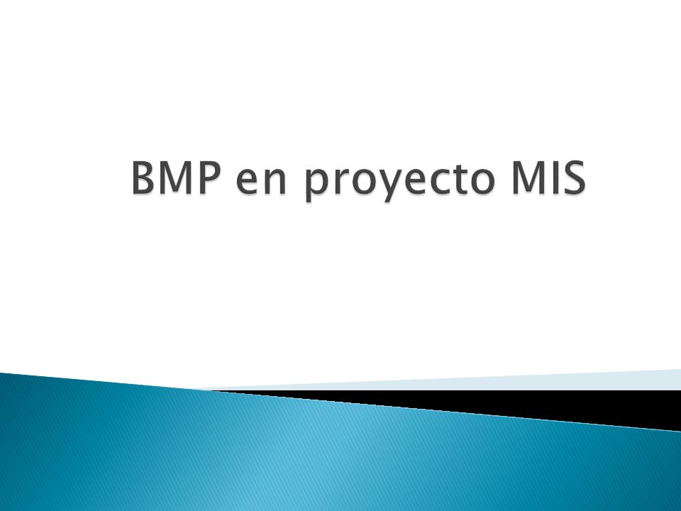 BMP en proyecto MIS