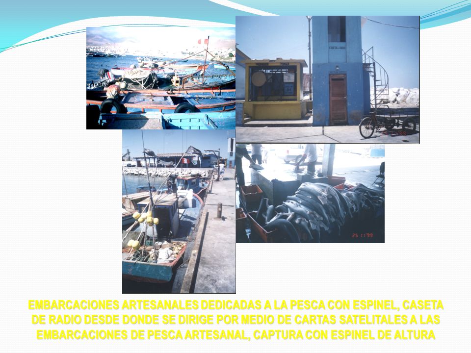 EMBARCACIONES ARTESANALES DEDICADAS A LA PESCA CON ESPINEL, CASETA DE RADIO DESDE DONDE SE DIRIGE POR MEDIO DE CARTAS SATELITALES A LAS EMBARCACIONES DE PESCA ARTESANAL, CAPTURA CON ESPINEL DE ALTURA