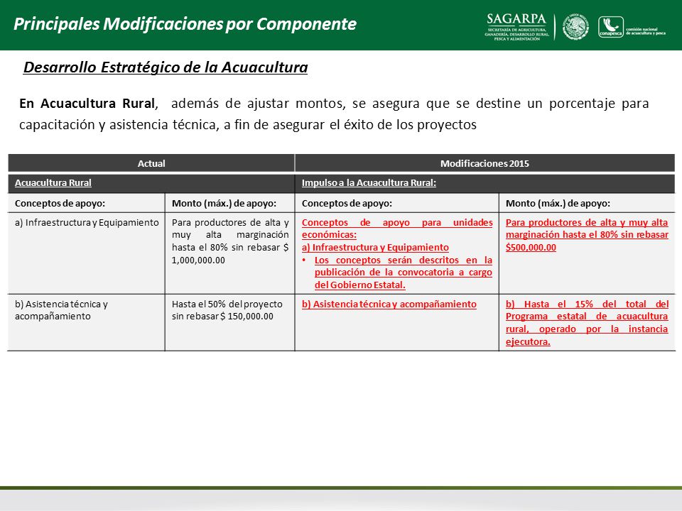 Principales Modificaciones por Componente