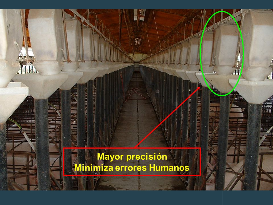 Minimiza errores Humanos