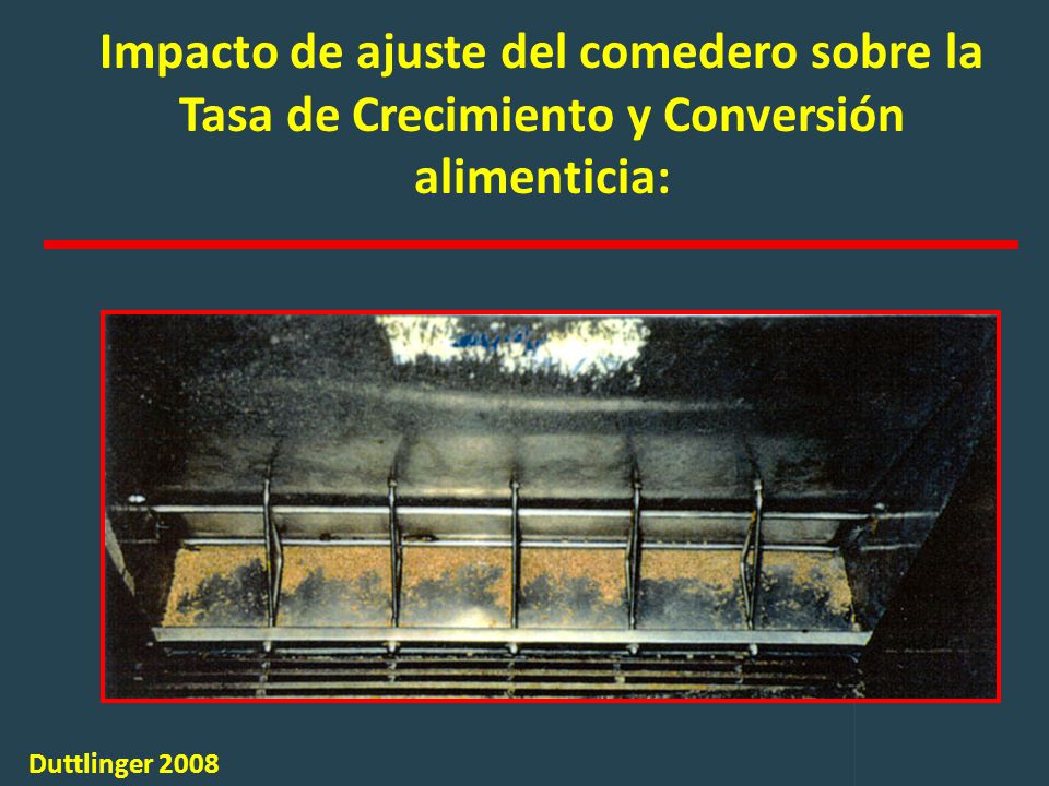 Impacto de ajuste del comedero sobre la Tasa de Crecimiento y Conversión alimenticia:
