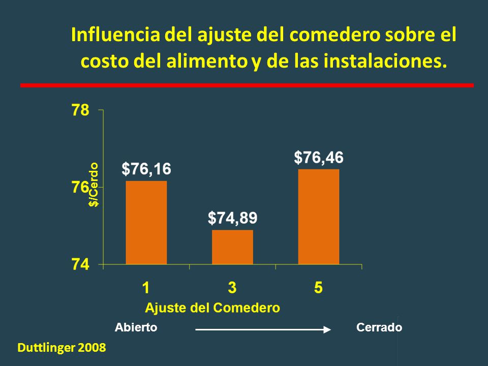 Influencia del ajuste del comedero sobre el costo del alimento y de las instalaciones.