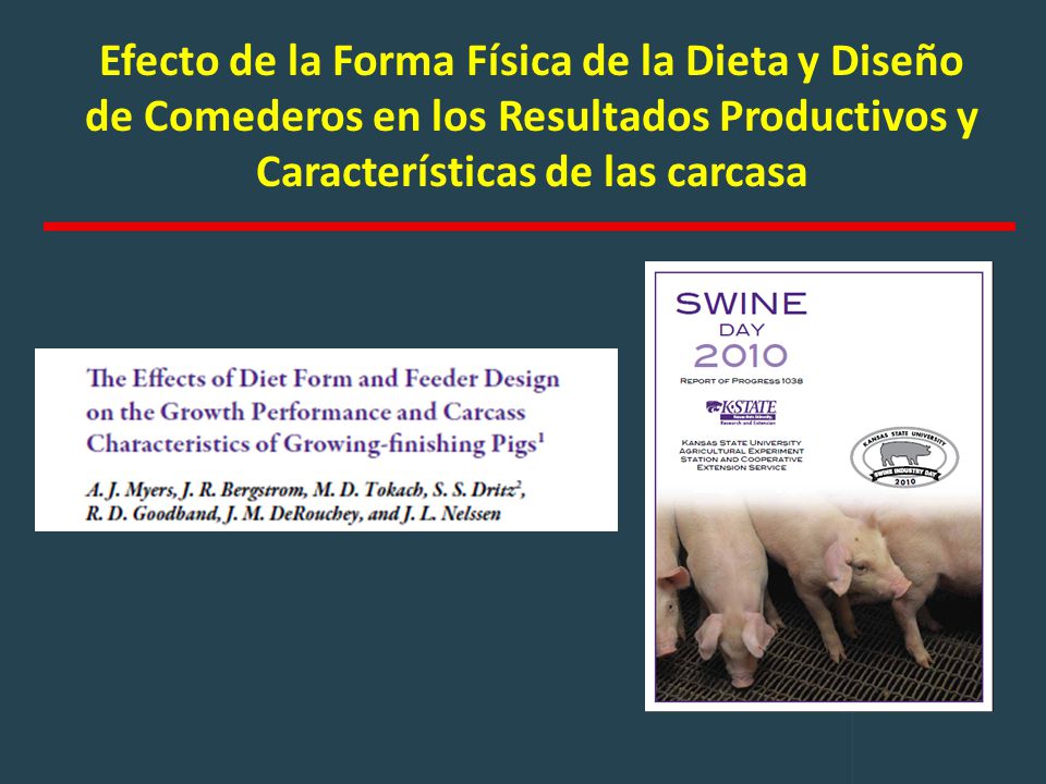 Efecto de la Forma Física de la Dieta y Diseño de Comederos en los Resultados Productivos y Características de las carcasa