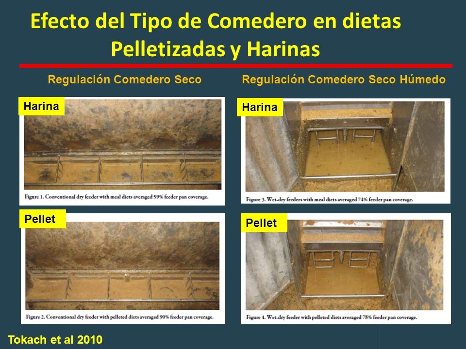 Efecto del Tipo de Comedero en dietas Pelletizadas y Harinas