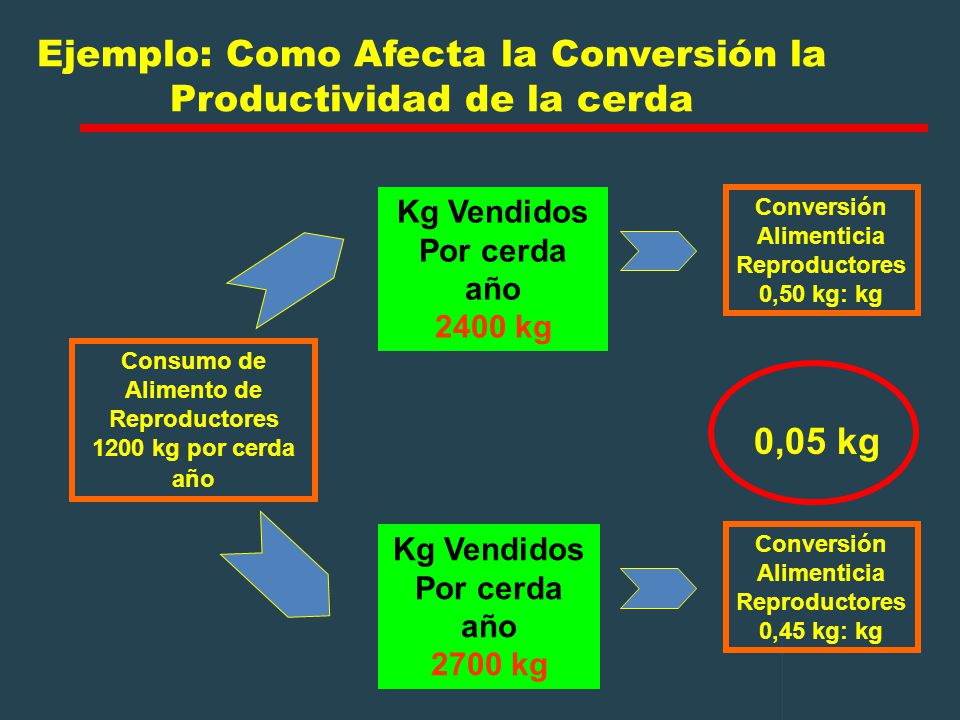Ejemplo: Como Afecta la Conversión la Productividad de la cerda