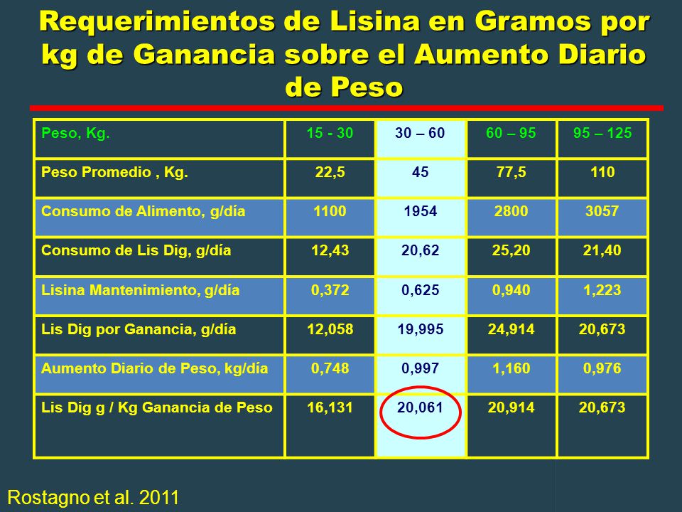 Requerimientos de Lisina en Gramos por kg de Ganancia sobre el Aumento Diario de Peso