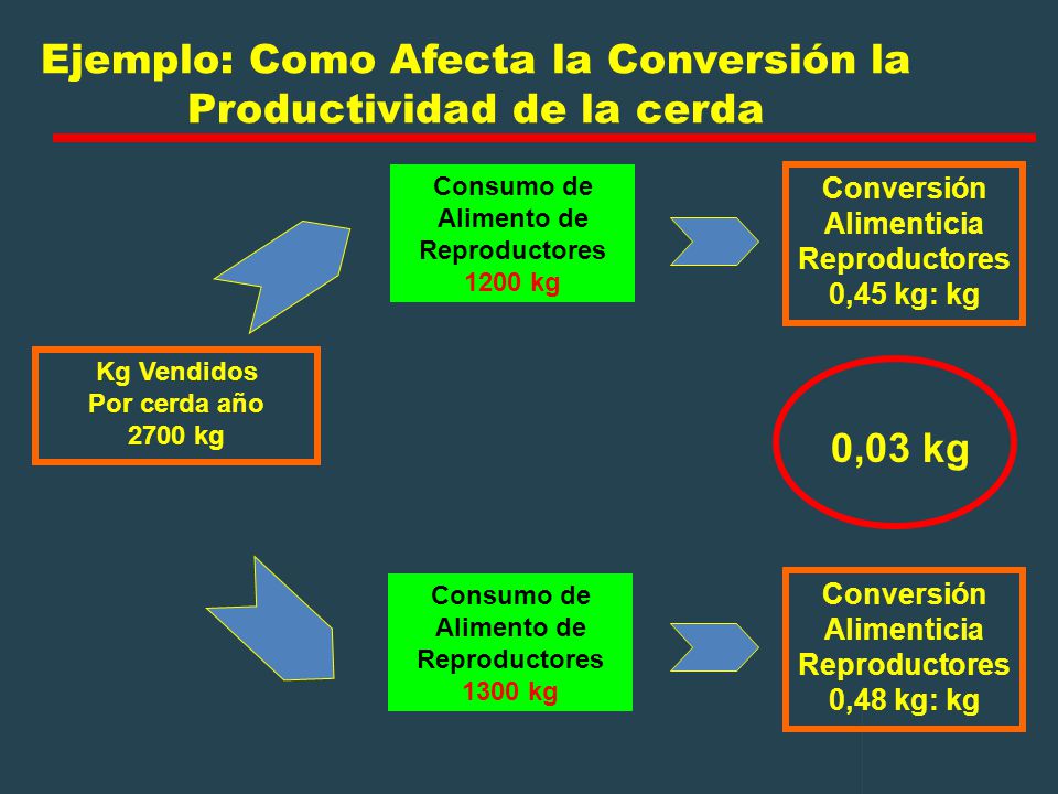 Ejemplo: Como Afecta la Conversión la Productividad de la cerda