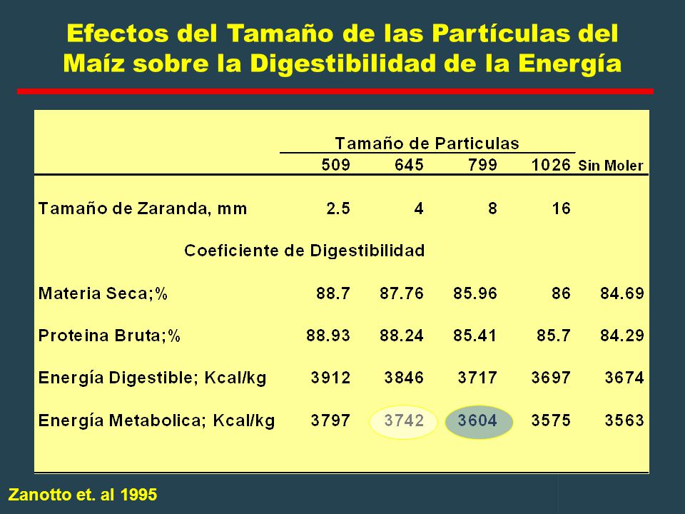 Efectos del Tamaño de las Partículas del Maíz sobre la Digestibilidad de la Energía