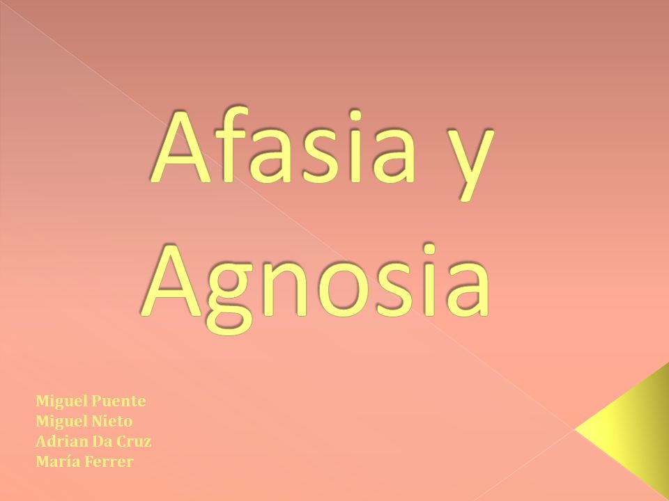 Afasia y Agnosia Miguel Puente Miguel Nieto Adrian Da Cruz