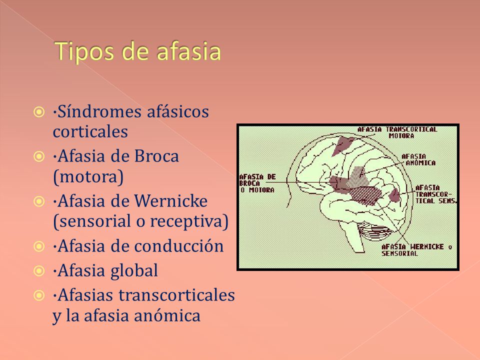 Tipos de afasia ·Síndromes afásicos corticales