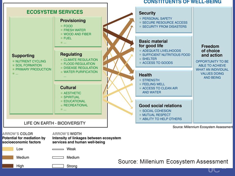Source: Millenium Ecosystem Assessment
