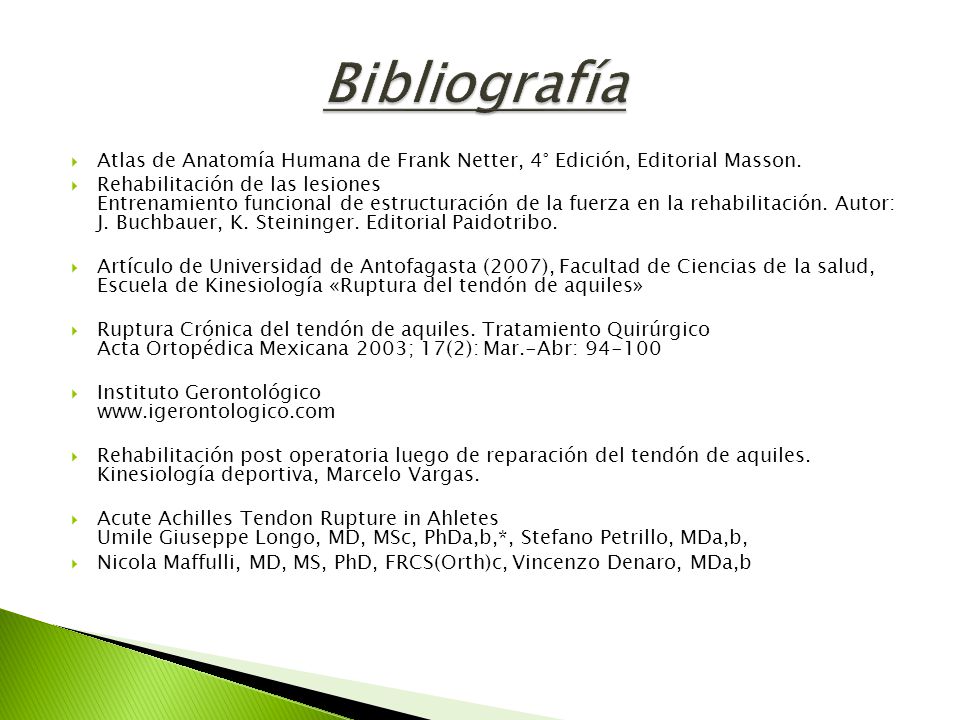 Bibliografía Atlas de Anatomía Humana de Frank Netter, 4° Edición, Editorial Masson.