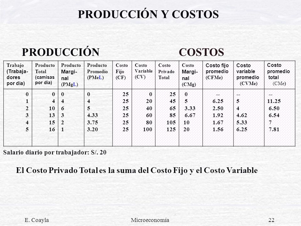PRODUCCIÓN Y COSTOS PRODUCCIÓN COSTOS. Trabajo (Trabaja-dores por día) Producto Total. (camisas por día)