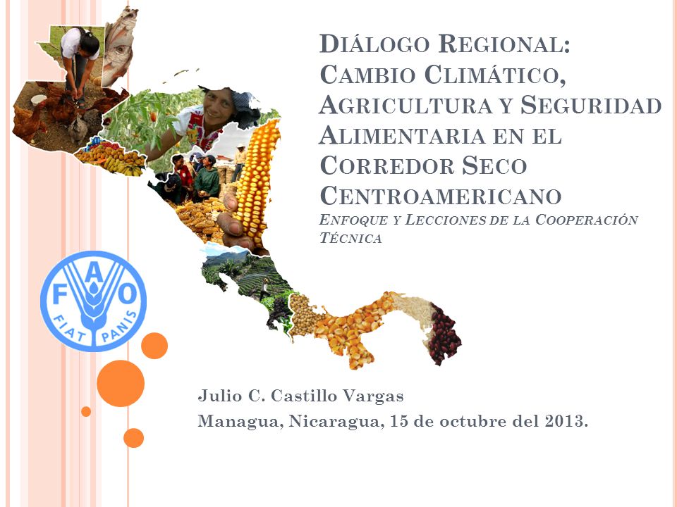 Julio C. Castillo Vargas Managua, Nicaragua, 15 de octubre del 2013.