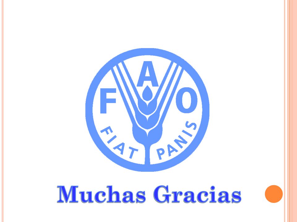 Muchas Gracias