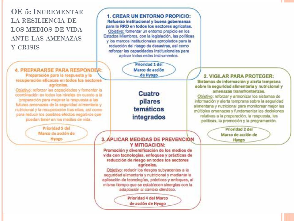 OE 5: Incrementar la resiliencia de los medios de vida ante las amenazas y crisis