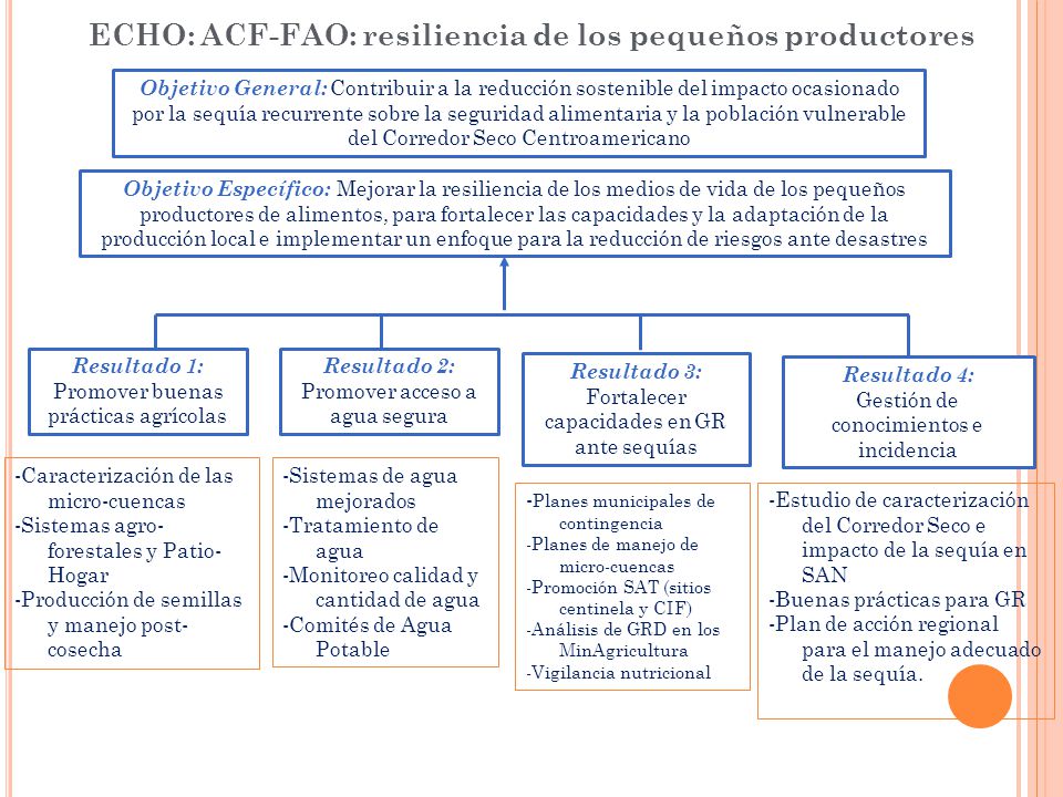 ECHO: ACF-FAO: resiliencia de los pequeños productores