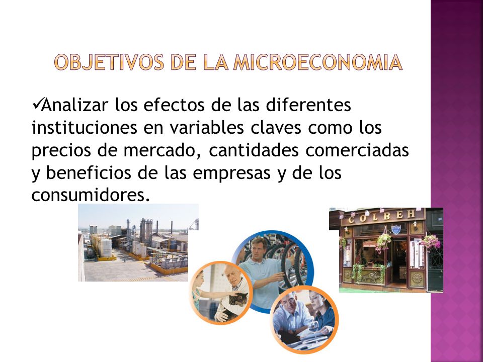 OBJETIVOS DE LA MICROECONOMIA