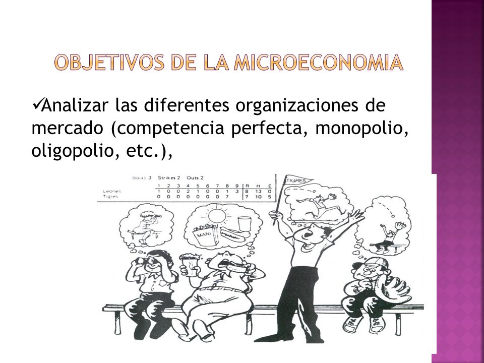OBJETIVOS DE LA MICROECONOMIA