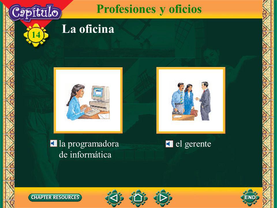 Profesiones y oficios La oficina la programadora de informática