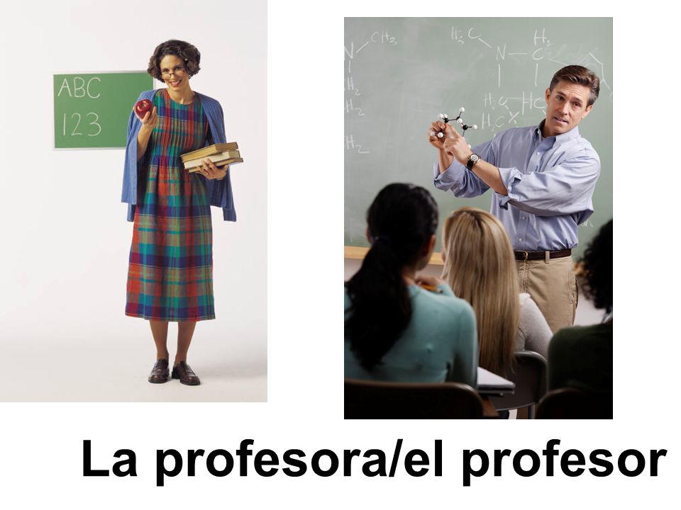 La profesora/el profesor