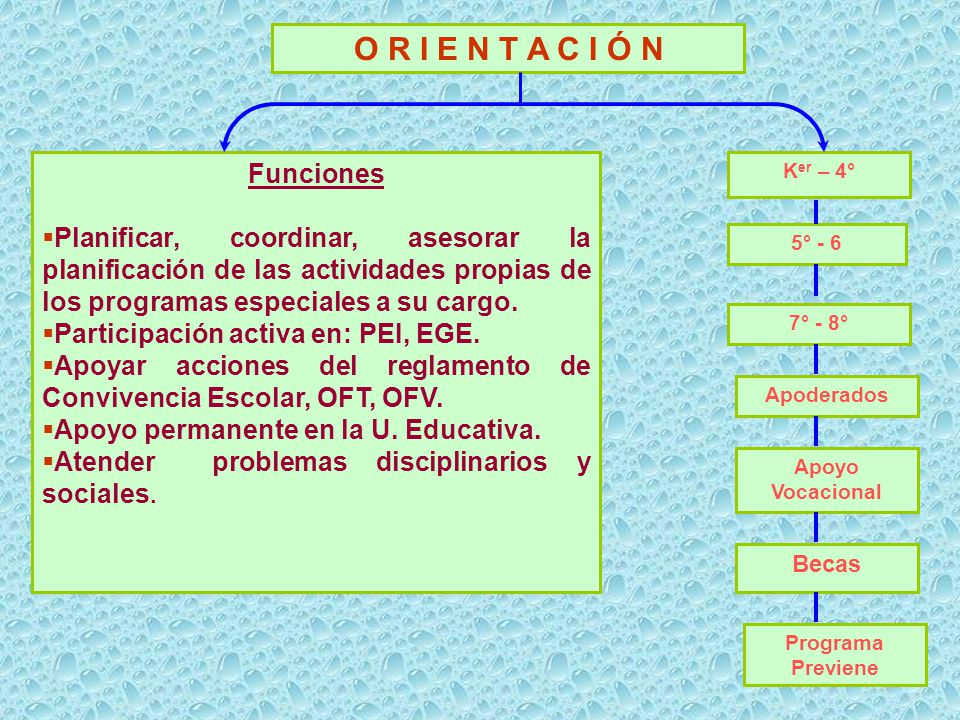 O R I E N T A C I Ó N Funciones